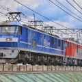 ＪＲ貨物　ＥＦ２１０-１０６号機牽引　ＥＨ５００-７０号機無動力回送＠２０７３レ
