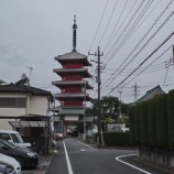 『東京・八王子にある珍寺？雲龍寺』の画像