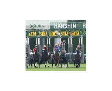 大阪杯スワーヴリチャード 18年 大外枠 競馬２ｃｈぽい２ｃｈねるぽい情報