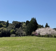 波も来た！芝も青い！房総の春はセカンドハウス・別荘が一番楽しい季節です