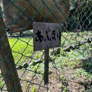  ( ͡⊙ ͜ʖ ͡⊙) ココアシガレット・アンダーグラウンド ( ͡◉ ͜ʖ ͡◉)