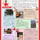 MAXだよりvol.220更新しました。