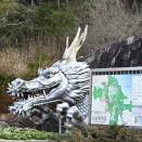 まんのう公園のパンジィー