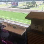 馬主目線の競馬予想