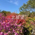 #大規模測量　#エネルギー測量　#歩道測量　#りん那須へ　#バッテリー🪫