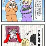 『新しいおもちゃを贈呈したら家が支配された』の画像