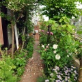 Healing Garden 変え続ける