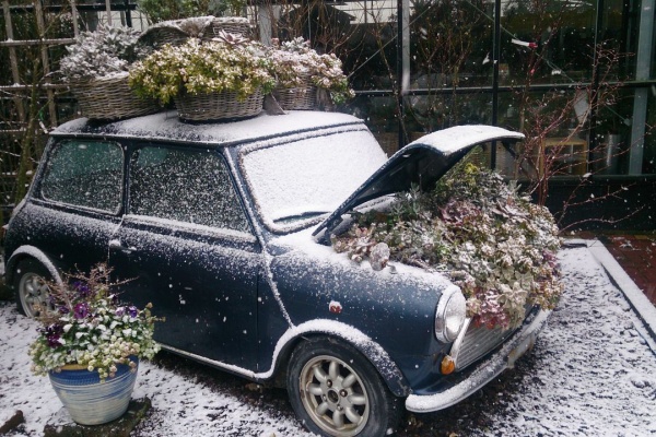 平田ナーセリー福岡西区小戸店villaggio 福袋