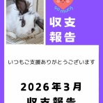 for the RABBIT【保護うさぎの里親探し】