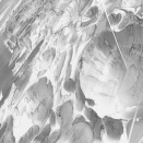 2本目の星の糸のこと（星の糸は一本だけじゃない）