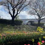 らいふ たまプラーザ