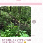 猫の写真をアップした女、驚異の130万いいね