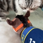 セリアで買った110円の馬グッズ（その4）～♪