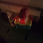 伊都志摩どら猫記ﾌﾞﾛｸﾞﾍﾝ？’