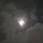 さよならとは言わない