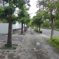 20250719久しぶり香椎浜界隈〜浜辺を散策！
