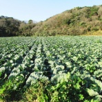 JN2TZBの無線ライフ(3)