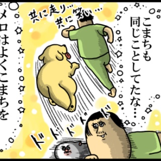 まめきちまめこニートの日常
