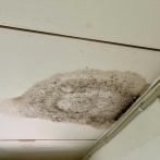 賃貸物件の天井の火災報知器から水漏れが発生 → 管理会社に電話するも上階の住人がヤバすぎて、進展せず