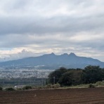 Ancient Botanical Garden