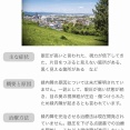 【緊急】ワイの視界、『謎のギザギザ』のせいで逝く…
