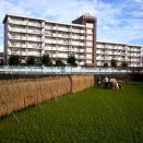 ３月の予定と２月の結果