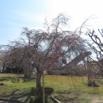 八十翁のつぶやき