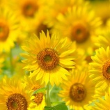 『4年。』の画像