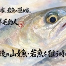 【フライフィッシング】放流直後の山女魚・岩魚を狙う時の注意点。