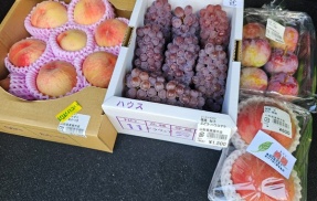 ついに来ました！ 山形の桃♪　《よってけポポラ》