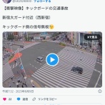 電動キックボードに乗った男　車にはねられる（動画あり）