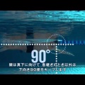 自由形の水中での姿勢を