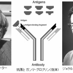 サイエンスジャーナル