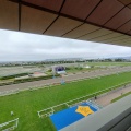 今年で130周年〜JRAで最も長い歴史がある函館競馬場のVIPルームで馬券買い‼️
