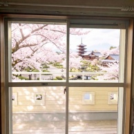 窓の目隠しシートをDIY！レースカーテンの代わりに選んだ理由と失敗しない貼り方