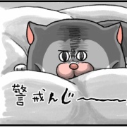 第六感を持つ猫