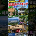 【秦野】弘法山ハイキング！絶景・温泉・国登録文化財を3時間で満喫【神奈川】