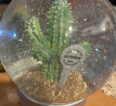 月曜日