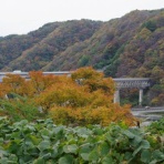 ハイキングさ　あべじゃ