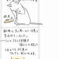 ちびた姐さんの直訴✉️