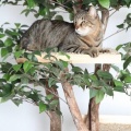 娘が部活の帰りに露出狂に遭遇。旦那「高校生なんだし、もうしてる友達もいるだろうにそれくらいで泣くなんてなぁw」私（ポカーン）旦那「まぁこれも男に慣れるための練習練習w」