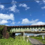 続・ゆるい生活