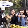 ファイターズガールが狐に会いに行く動画