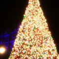 DISNEY SEA CHRISTMAS 2010 Night