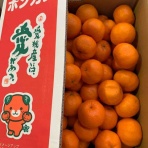 志津駅前　八百屋さん