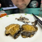 SPEED OF SOUNDS の 音速宇宙漂流記