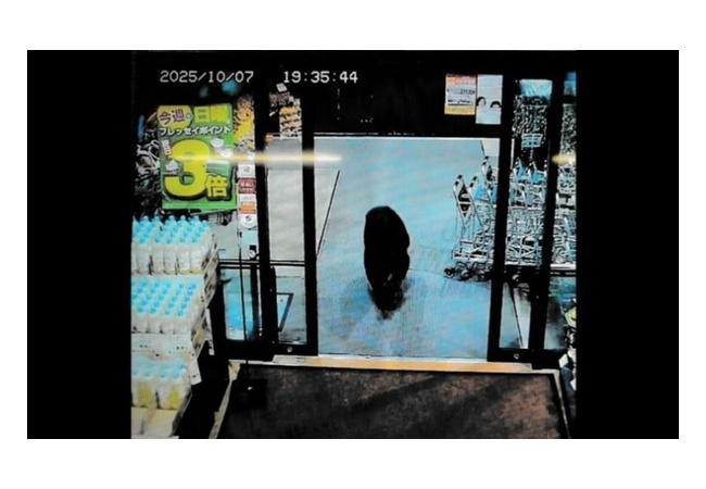 米国務省 「クマに注意」