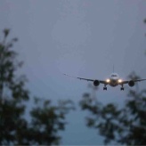 みんなが空を見上げた日／美味しすぎて驚き！【ダブルチーズのオープンミートパイ】