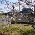 神田祭（どろんこ祭り）