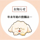 【年末年始の投稿について】